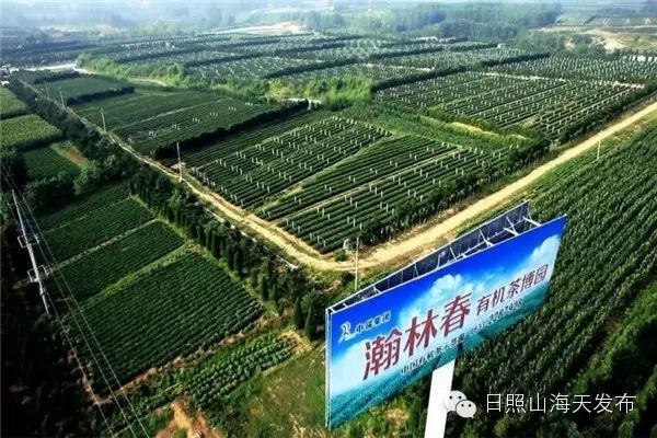 瀚林春 有机富硒茶（富硒茶园）-硒宝网