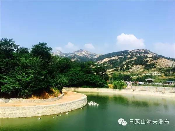 瀚林春 有机富硒茶（富硒茶园）-硒宝网