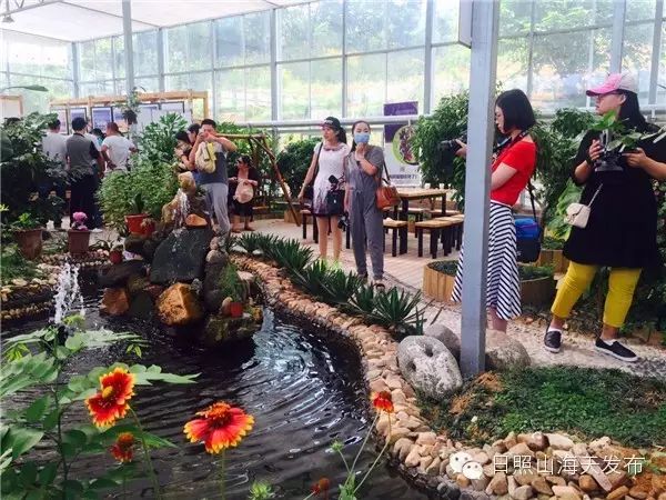 瀚林春 有机富硒茶（富硒茶园）-硒宝网