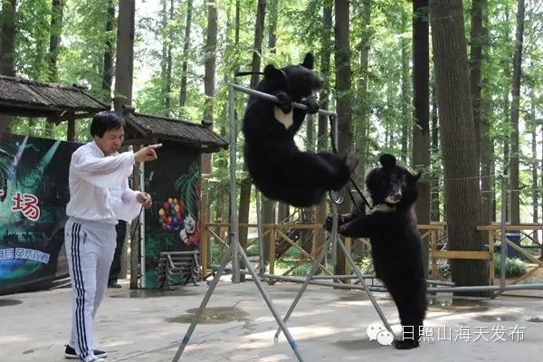 瀚林春 有机富硒茶（富硒茶园）-硒宝网