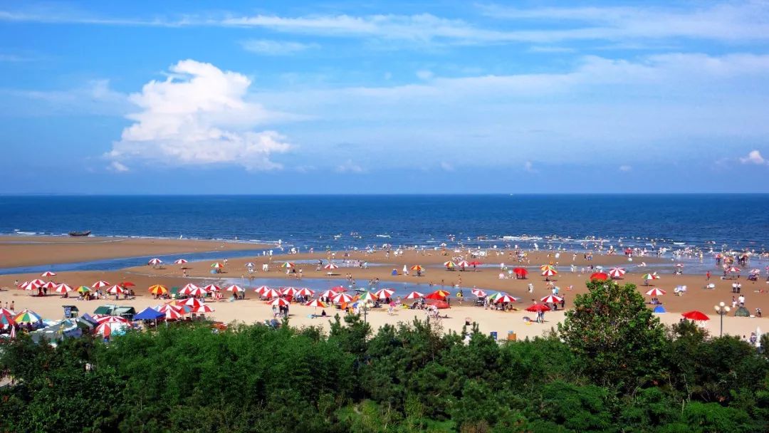 瀚林春 有机富硒茶(富硒茶蔬片的功效)-硒宝网