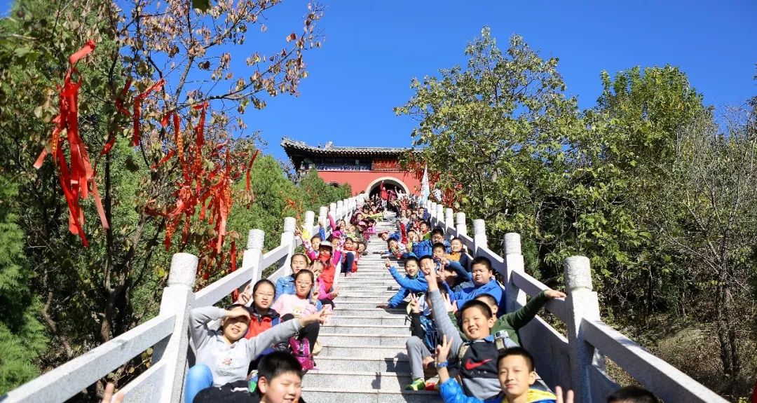 瀚林春 有机富硒茶(富硒茶蔬片的功效)-硒宝网