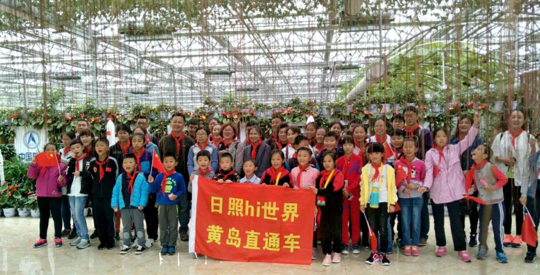 瀚林春 有机富硒茶(富硒茶蔬片的功效)-硒宝网