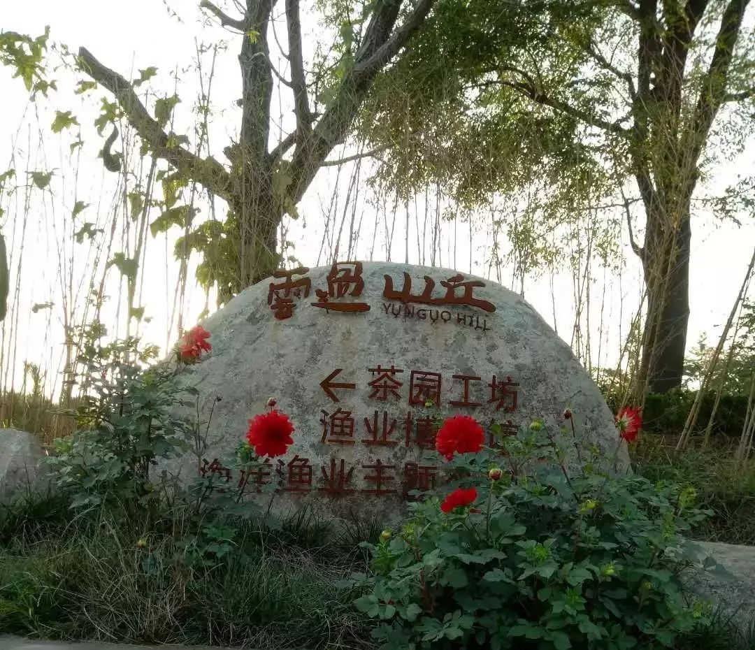 瀚林春 有机富硒茶(富硒茶蔬片的功效)-硒宝网