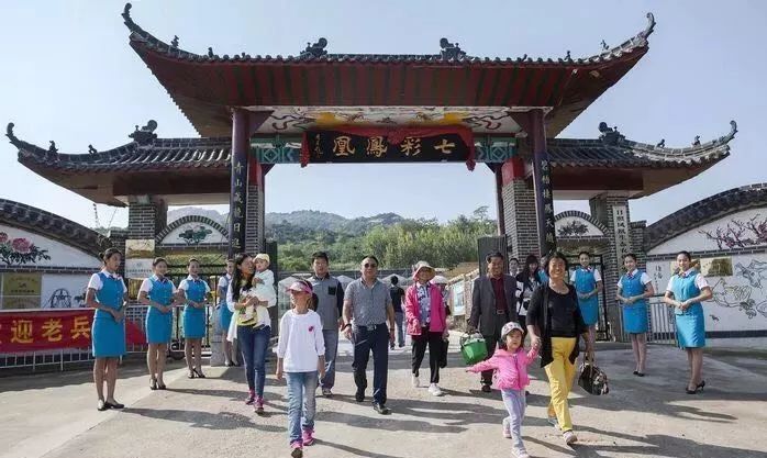 瀚林春 有机富硒茶(富硒茶蔬片的功效)-硒宝网