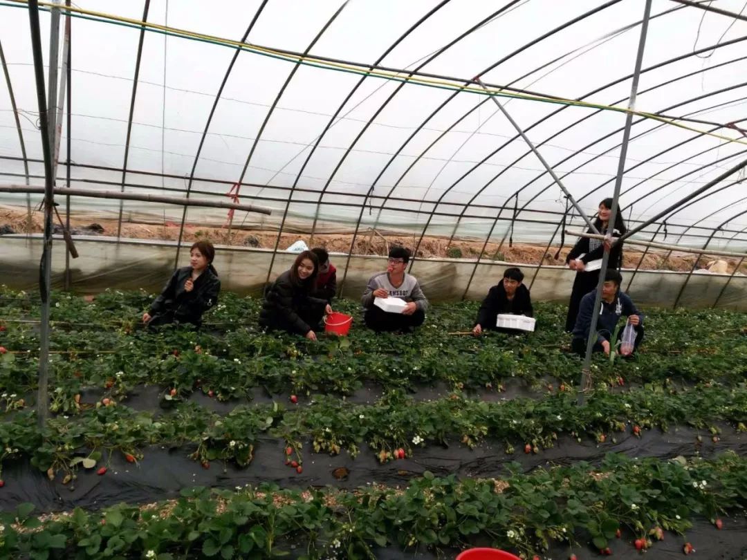 瀚林春 有机富硒茶(富硒茶蔬片的功效)-硒宝网