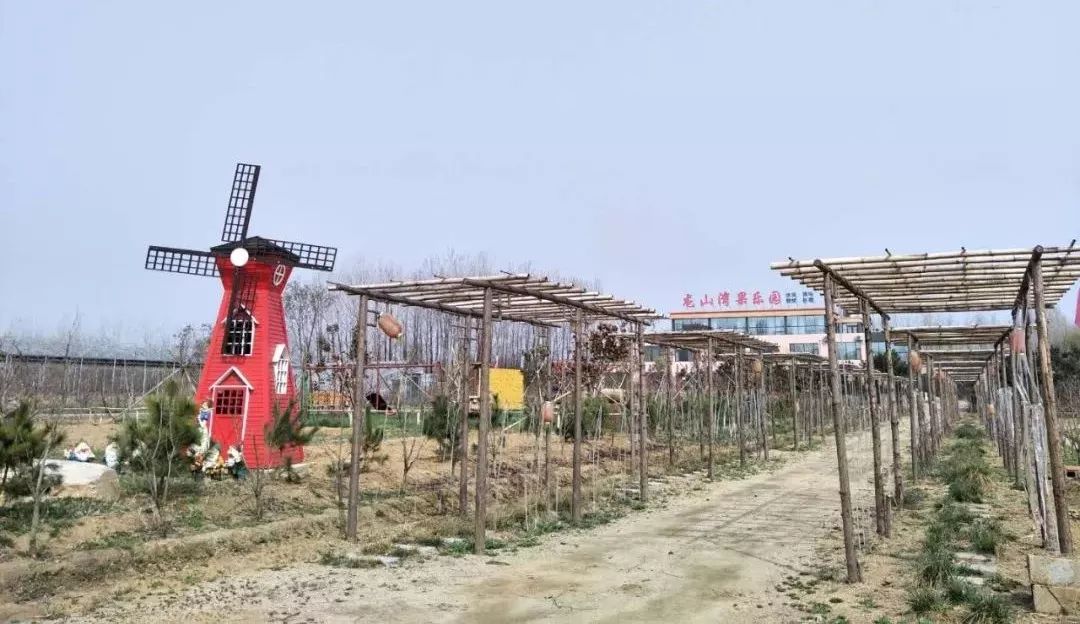 瀚林春 有机富硒茶(富硒茶蔬片的功效)-硒宝网