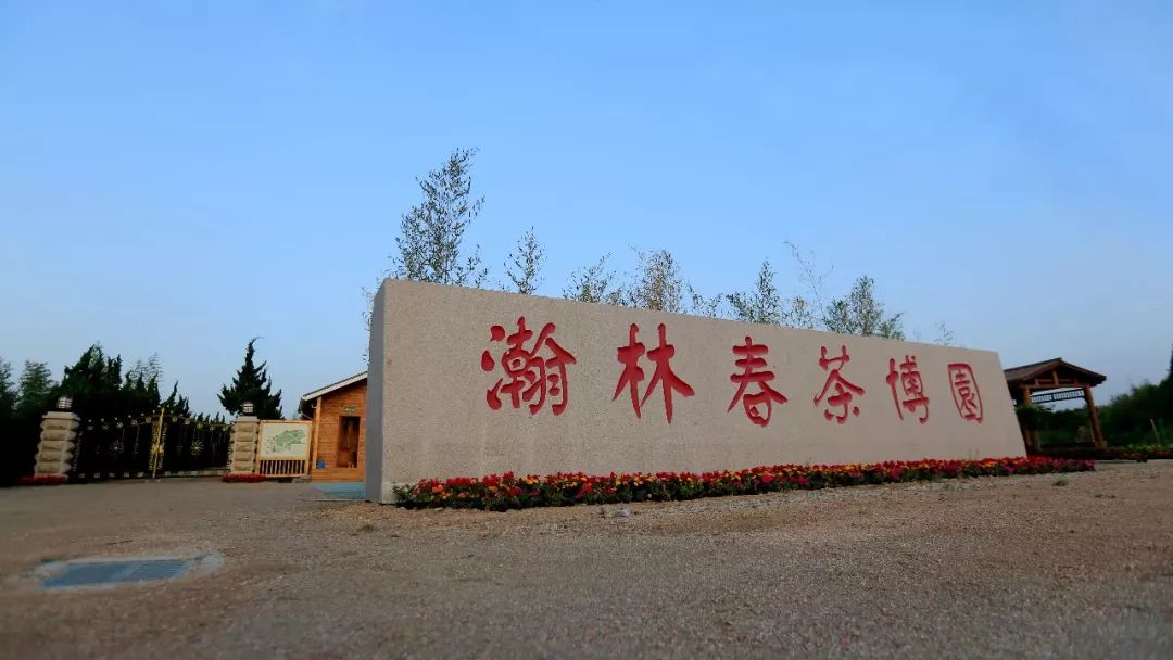 瀚林春 有机富硒茶(富硒茶蔬片的功效)-硒宝网