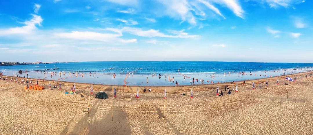 瀚林春 有机富硒茶(富硒茶蔬片的功效)-硒宝网