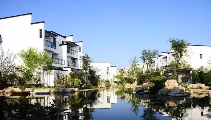 瀚林春 有机富硒茶(富硒茶蔬片的功效)-硒宝网