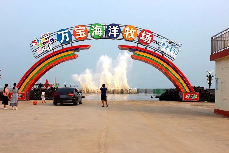 瀚林春 有机富硒茶(富硒茶蔬片的功效)-硒宝网