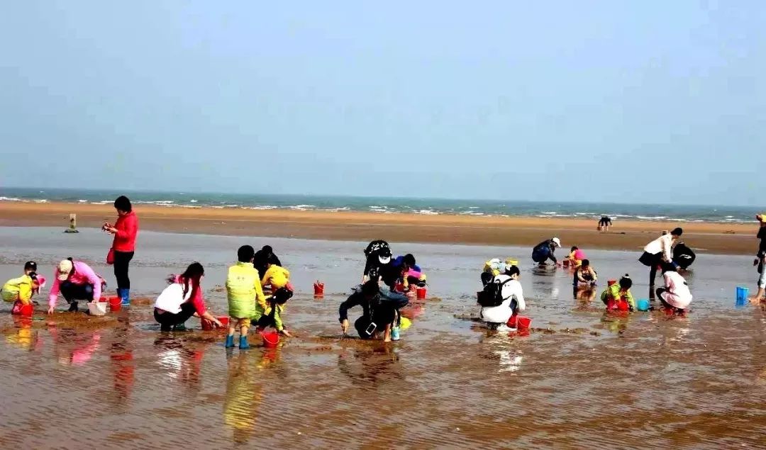 瀚林春 有机富硒茶(富硒茶蔬片的功效)-硒宝网