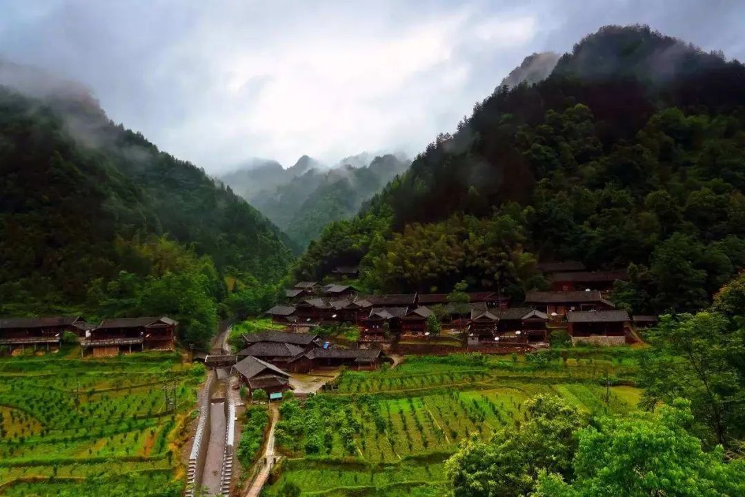 恩施富硒茶泡的方法（恩施富硒茶用多少度水）-硒宝网