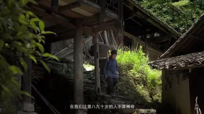 莓茶哪个部分富硒好（莓茶含硒）-硒宝网