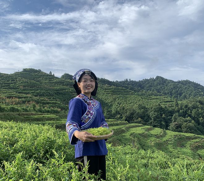 莓茶哪个部分富硒好（莓茶含硒）-硒宝网
