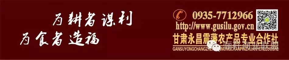 恩施富硒茶泡的方法（湖北恩施富硒茶功效）-硒宝网