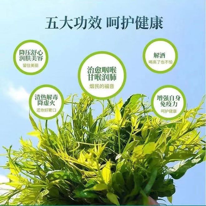 莓茶哪个部分富硒好(茶莓是什么)-硒宝网