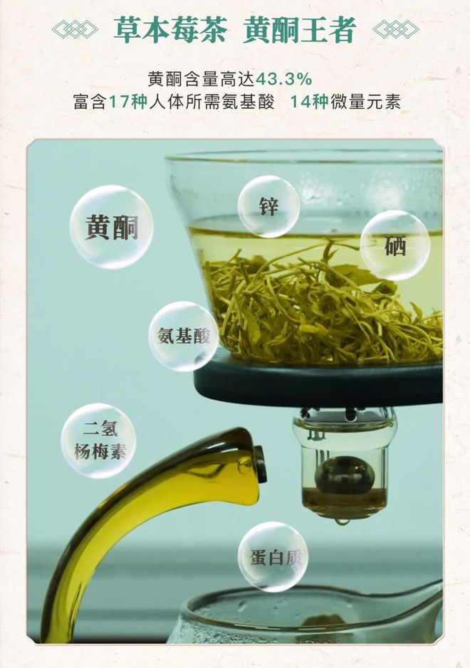 莓茶哪个部分富硒好(茶莓是什么)-硒宝网