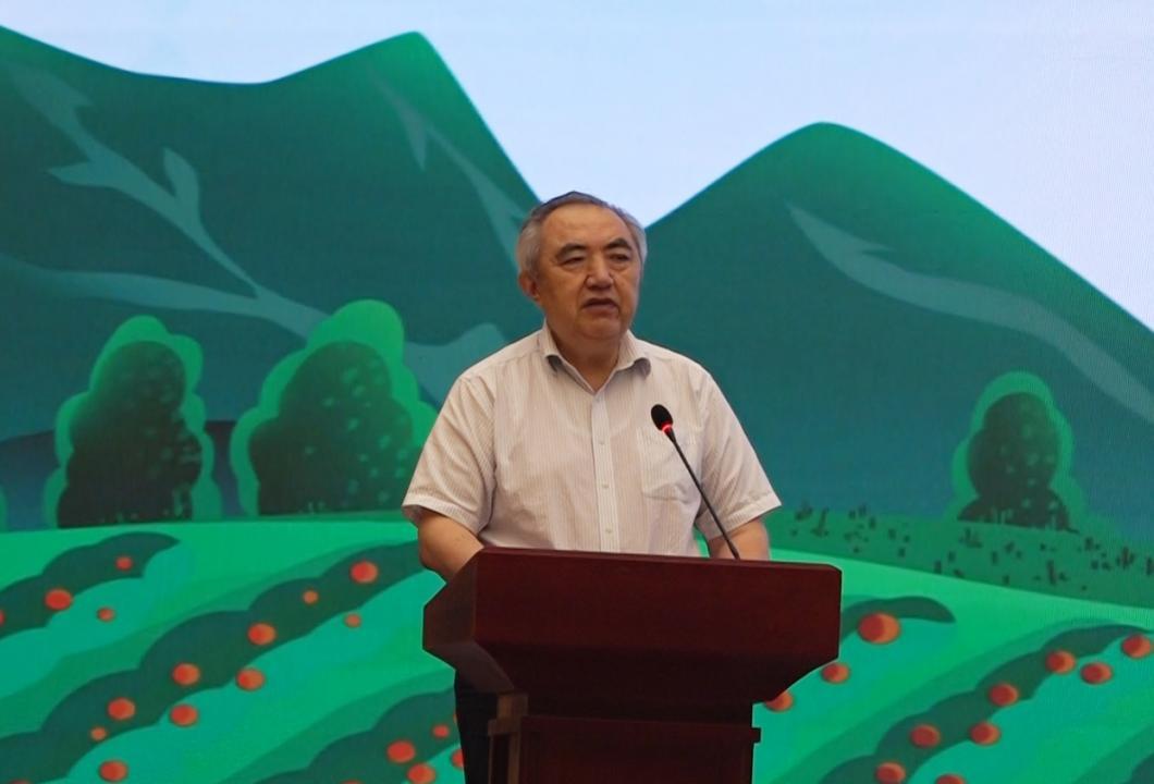 江苏富硒茶哪里有卖（富硒茶庄）-硒宝网