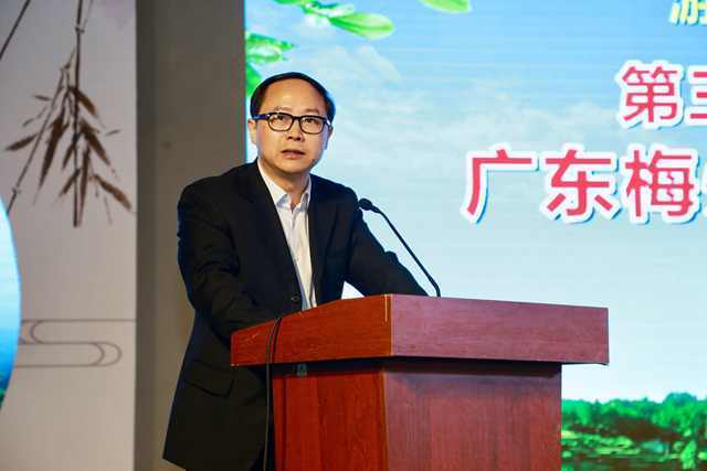 西岩高山富硒茶价格(高山硒茶有什么作用)-硒宝网