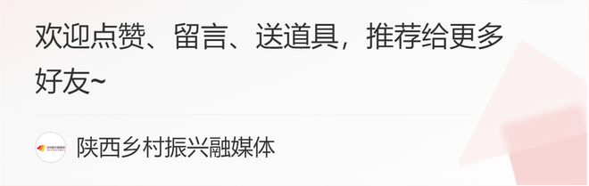 欢迎来到陕西富硒茶(陕西富硒茶多少钱一斤)-硒宝网