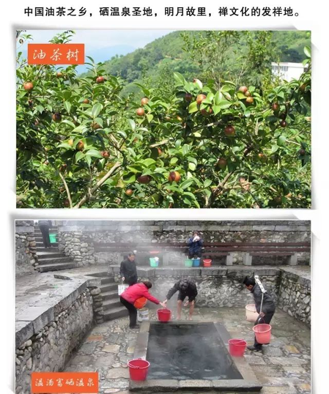 结婚适合送富硒茶吗(结婚送茶有什么讲究)-硒宝网