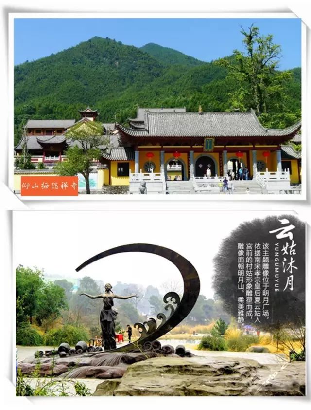 结婚适合送富硒茶吗(结婚送茶有什么讲究)-硒宝网