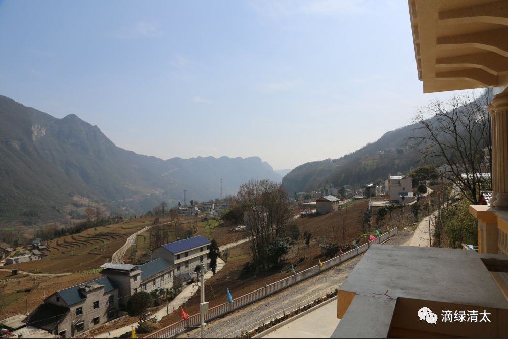 富硒藤茶哪个品牌好(富硒藤茶是传销吗)-硒宝网