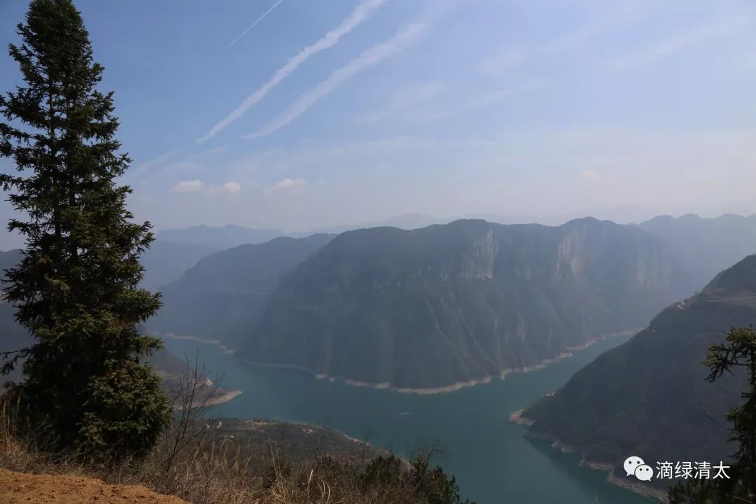 富硒藤茶哪个品牌好(富硒藤茶是传销吗)-硒宝网