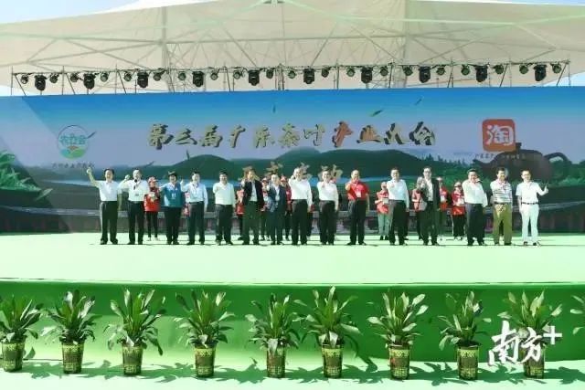 江苏质量好的富硒茶(富硒茶哪里的最好)-硒宝网