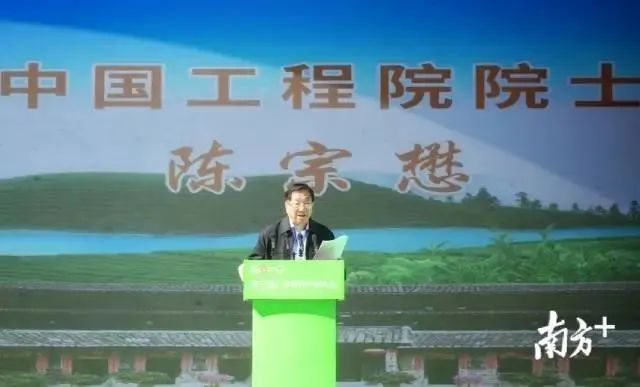 江苏质量好的富硒茶(富硒茶哪里的最好)-硒宝网