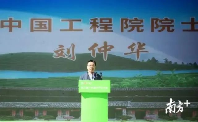 江苏质量好的富硒茶(富硒茶哪里的最好)-硒宝网