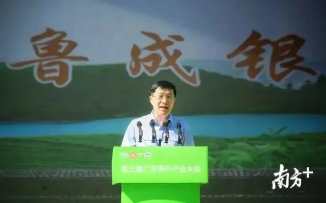 江苏质量好的富硒茶(富硒茶哪里的最好)-硒宝网