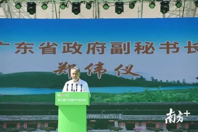 江苏质量好的富硒茶(富硒茶哪里的最好)-硒宝网