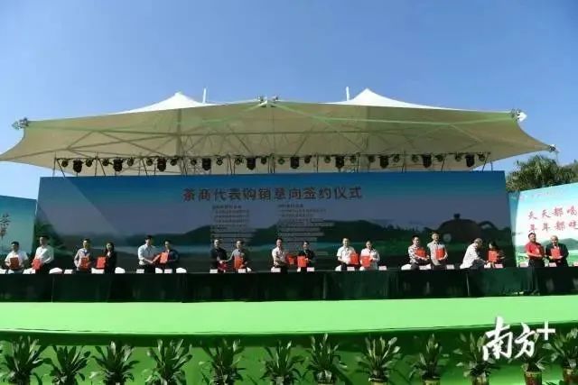 江苏质量好的富硒茶(富硒茶哪里的最好)-硒宝网