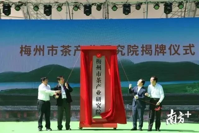 江苏质量好的富硒茶(富硒茶哪里的最好)-硒宝网