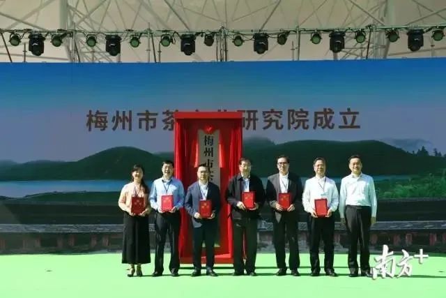 江苏质量好的富硒茶(富硒茶哪里的最好)-硒宝网