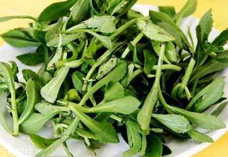 高钙牛奶真的能补钙吗(高钙牛奶可以补钙吗)-硒宝网