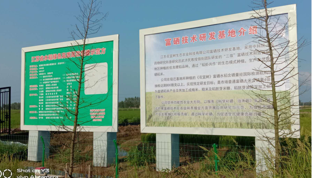 江苏质量好的富硒茶(中国十大富硒茶品牌)-硒宝网