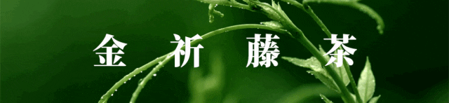 富硒藤茶哪个品牌好(富硒藤茶产地)-硒宝网