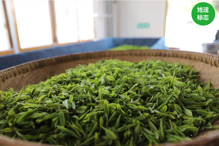 玉露是不是富硒茶类（富硒茶和玉露茶的区别）-硒宝网