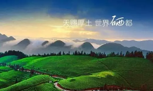 玉露是不是富硒茶类（富硒茶和玉露茶的区别）-硒宝网