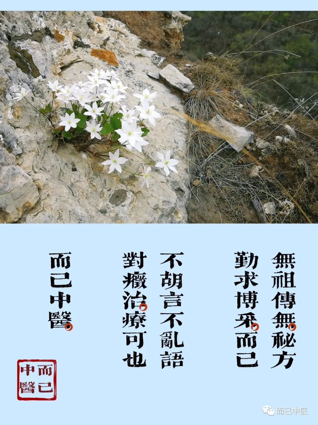 江苏质量好的富硒茶(富硒茶批发)-硒宝网