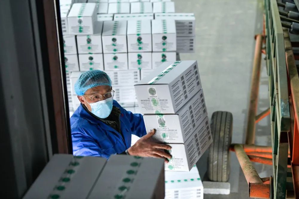 中国最大富硒古树茶(云南富硒古树茶)-硒宝网