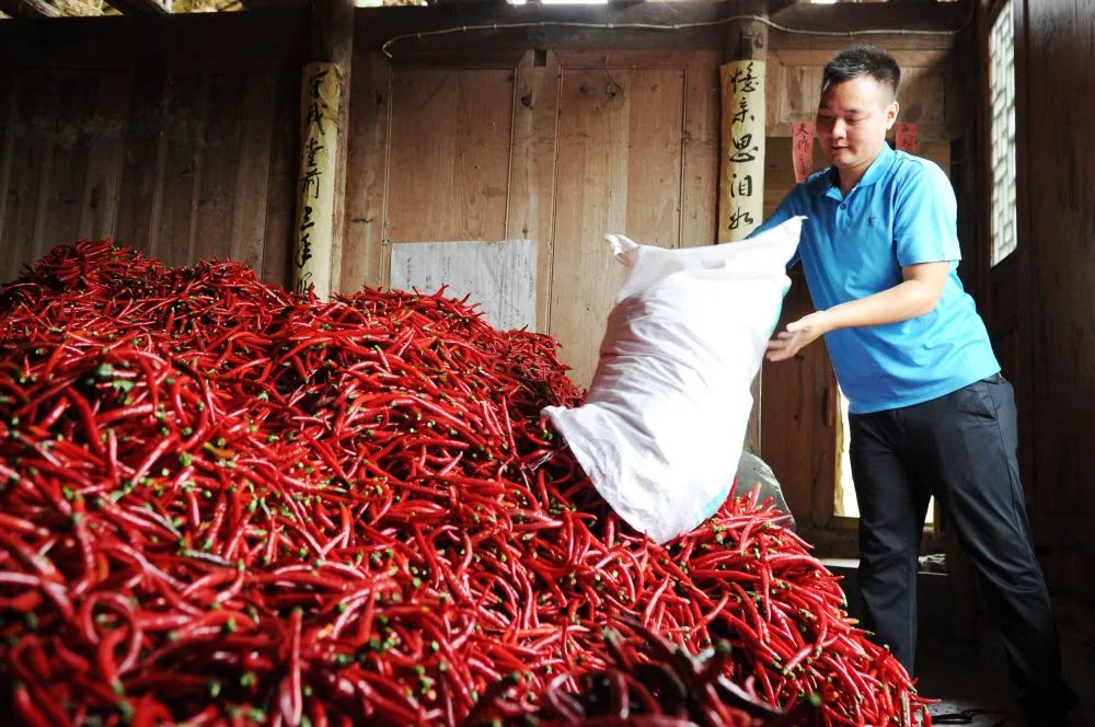 中国最大富硒古树茶(云南富硒古树茶)-硒宝网