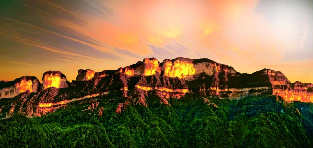 中国最大富硒古树茶(富硒茶产业)-硒宝网