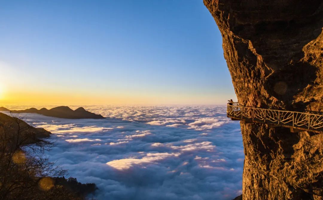 中国最大富硒古树茶(富硒茶产业)-硒宝网