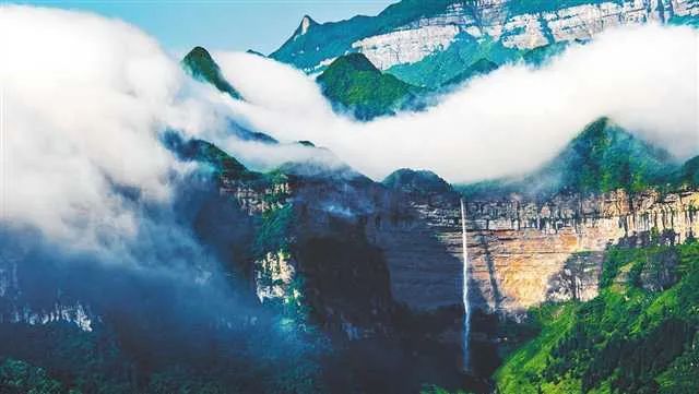 中国最大富硒古树茶(富硒茶产业)-硒宝网