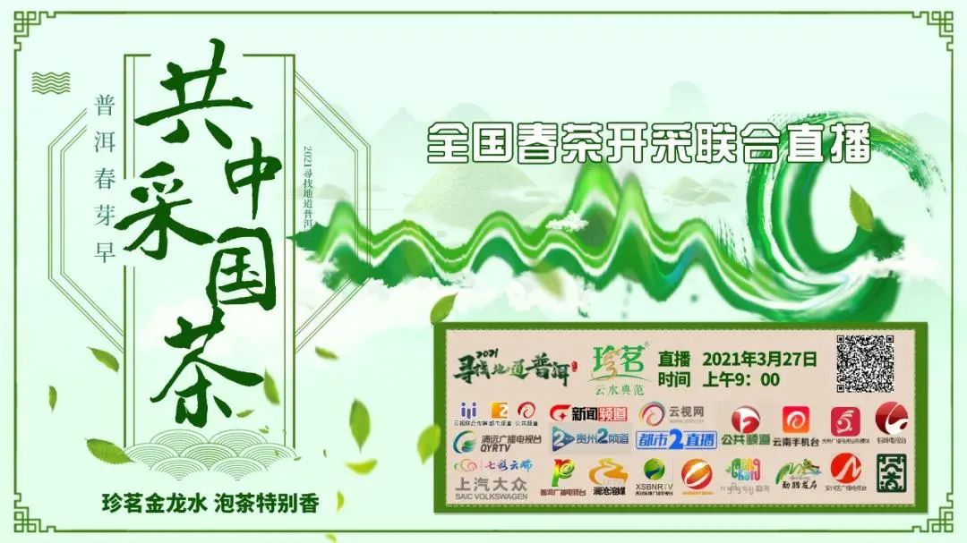 中国最大富硒古树茶(中国最大富硒古树茶村落)-硒宝网