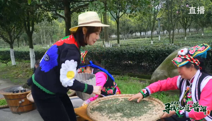 中国最大富硒古树茶(中国最大富硒古树茶村落)-硒宝网